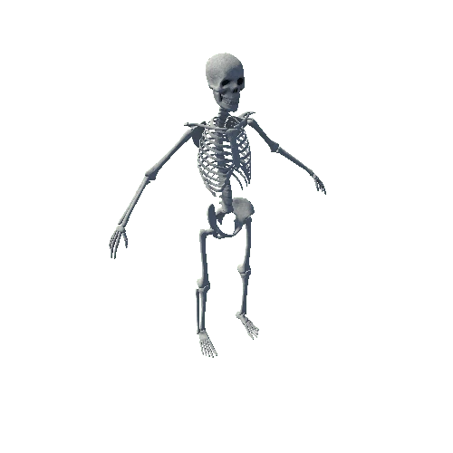 Granite_Skeleton Variant